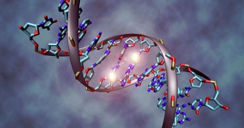 Discovery of new genes involved in food preferences will revolutionize diets and improve health