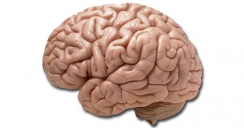 New approach to treating conversion disorder reduces seizures, improves co-morbid symptoms