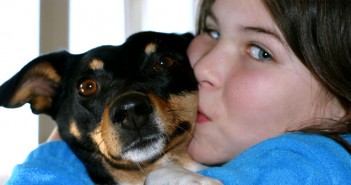 Dog ownership benefits families of children with autism