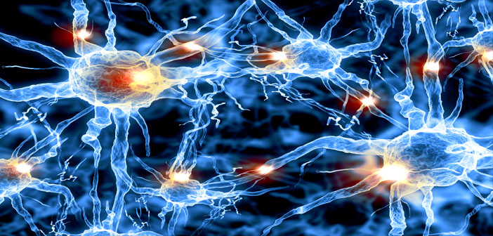 Hacking the nervous system