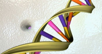 Use of social media and gaming could be strongly influenced by our genes, study finds
