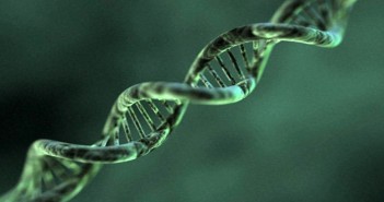 Eating disorder gene alters feeding and behavior in female mice