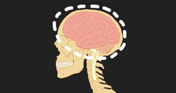 Neuroplasticity and the autism spectrum
