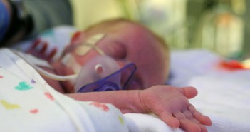 A prescription for touch: Early experiences shape preterm babies’ brains