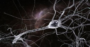 During learning, neurons deep in brain engage in a surprising level of activity