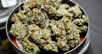 Study: Economic arguments for marijuana legalization fly higher with likely voters