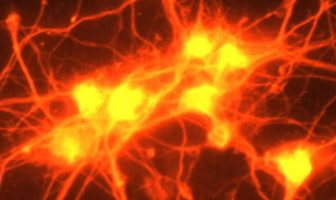 Study suggests antidepressant effects of ketamine can be separated from potential side effects