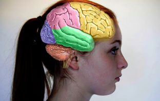 Study lays groundwork for potential bipolar disorder therapies