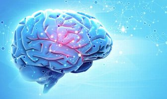 The human brain makes fructose, researchers discover – here’s why that might be a big deal