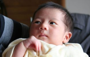 Adult subcortex processes numbers with the same skill as infants