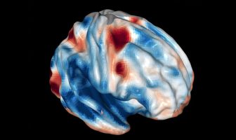 Brain’s frontal cortex controls vision — and leaves out things in plain sight