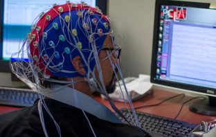 Study on auditory entrainment examines how the brain processes sound and rhythm