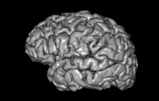 Magnetic brain stimulation can bring back stowed memories