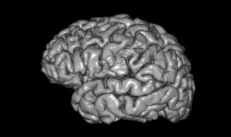 Researchers help map future of precision medicine in Parkinson’s disease
