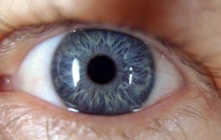 Study suggests pupil size could be linked to intelligence