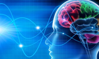 There’s a close association between magnetic systems and certain states of brain activity