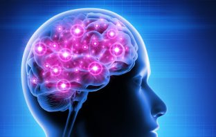 New research reveals how the brain decides to make an effort