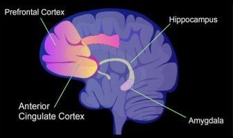 Hyperactivity of brain regions observed during ruminative thinking in teens recovering from depression