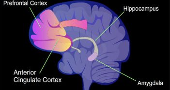 Altered functional connectivity observed in the brains of adolescents in the first episode of depression