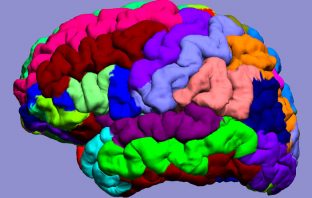 Major cause of dementia discovered in the brain