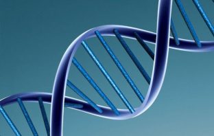 An intriguing new gene candidate in the search for Alzheimer disease therapies