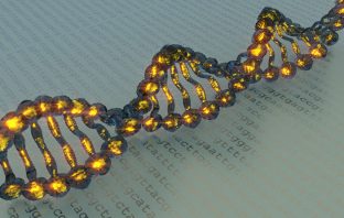 Why does divorce run in families? The answer may be genetics