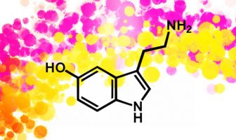 More serotonin, less motivation? It depends on the circumstances