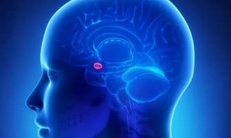 Neuroimaging study finds heightened brain response to seeing people of a different ethnicity