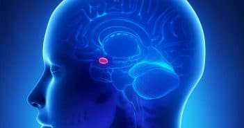 Neuroimaging study finds heightened brain response to seeing people of a different ethnicity