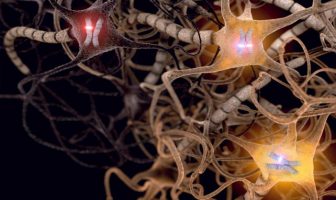 Some neurons choose mom’s gene and others choose dad’s