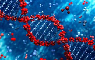 Study indicates gene linked to serotonin influences social phobia