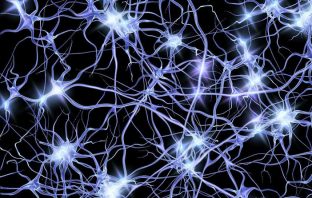 Neuronal activity sheds light on the origin of consciousness