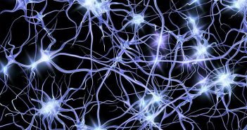 Antisocial personality disorder linked to impairments of white matter microstructure