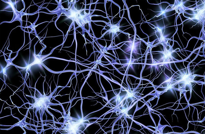 Vaizdo rezultatas pagal užklausą „neurons“