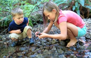 Children who play outside more likely to protect nature as adults