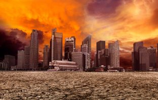 People remain calm as the world ends, video game study suggests