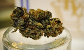 Cannabidiol has therapeutic potential in the treatment of anxiety and substance abuse disorders