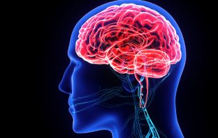 How having too much or too little of CHRNA7 can lead to neuropsychiatric disorders