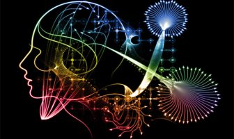 Who is most at risk of psychosis after ingesting ayahuasca or DMT?