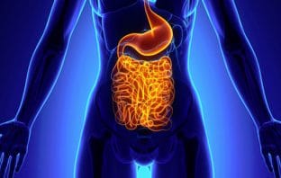 These scientists think intestinal worms could help treat neuropsychiatric diseases