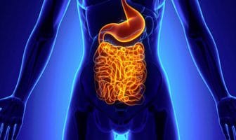 These scientists think intestinal worms could help treat neuropsychiatric diseases