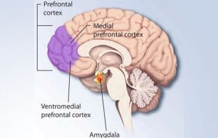 Stimulating area of the brain can reduce aggressive behavior elicited by violent video games