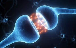 Cannabidiol significantly reduces seizures in patients with severe form of epilepsy