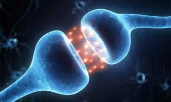 Study finds LSD produces dreamlike states in awake humans by stimulating serotonin receptors