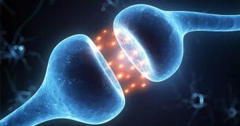 Stress sets the stage for cocaine cravings in the brain, study finds