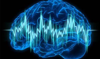 Neuroimaging study finds social conservatives have heightened brain reaction to a wide variety of stimuli