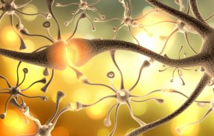 Discovery could lead to new treatment for anxiety and addiction