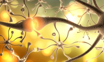 Effects of ketamine appear to mirror the neurological changes identified in schizophrenia