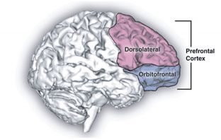 Brain stimulation of lateral orbitofrontal cortex improves mood in depressed individuals