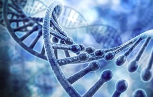 Researchers have found the first risk genes for ADHD